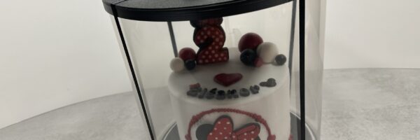 Boîte cadeau pour layer cake – avec gâteau – Satolas (38) – 3D Printlab Boîte cadeau pour layer cake imprimée en 3D par 3D Printlab pour une pâtisserie à Satolas (Isère), contenant un gâteau.